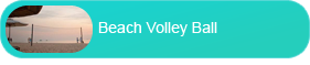 Beach volley ball
